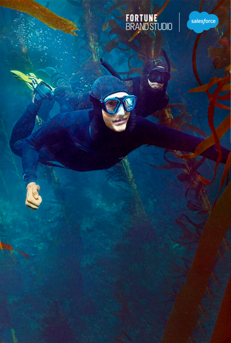 2 people swimming in a kelp forest