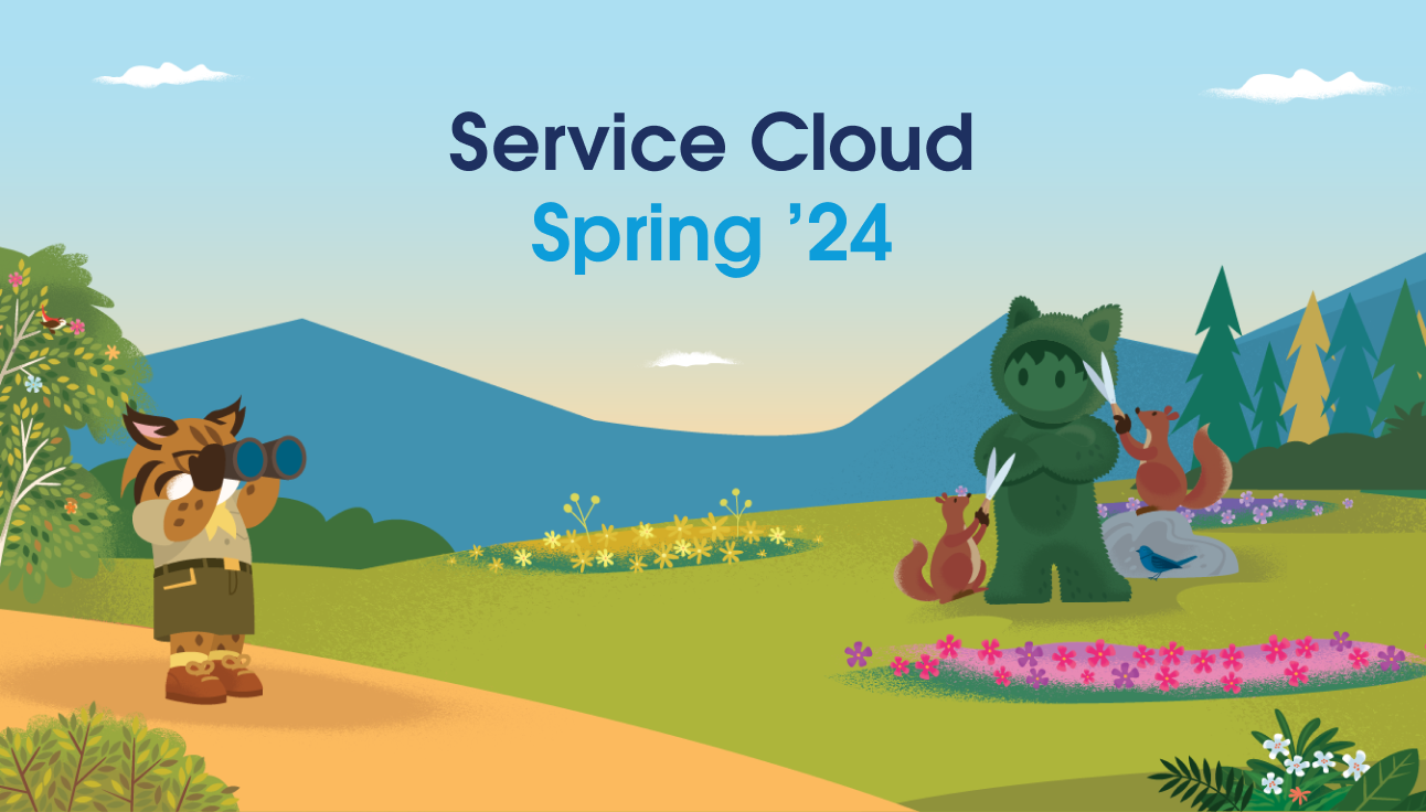 Salesforce+ Service Cloud Spring '24