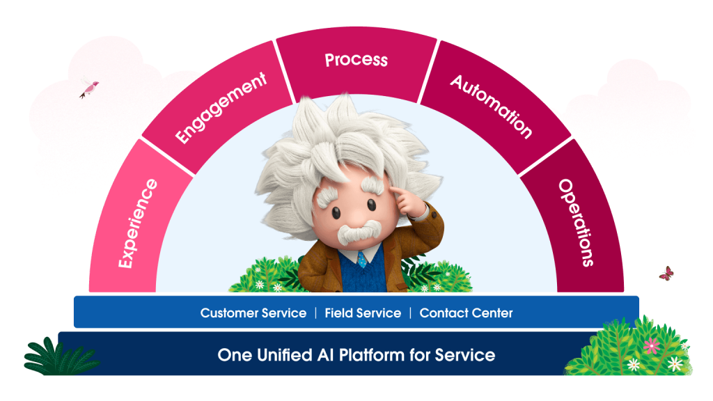 Dashboard showing Service cloud and Einstein.