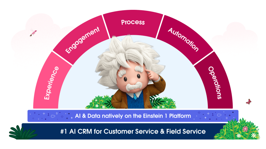 Dashboard showing Service cloud and Einstein.