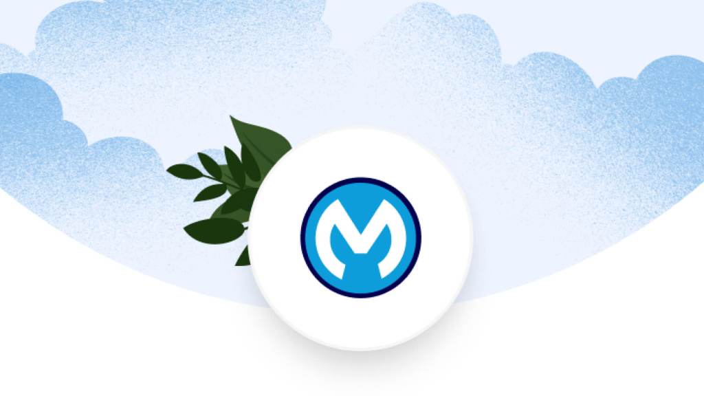 MuleSoft logo product graphic