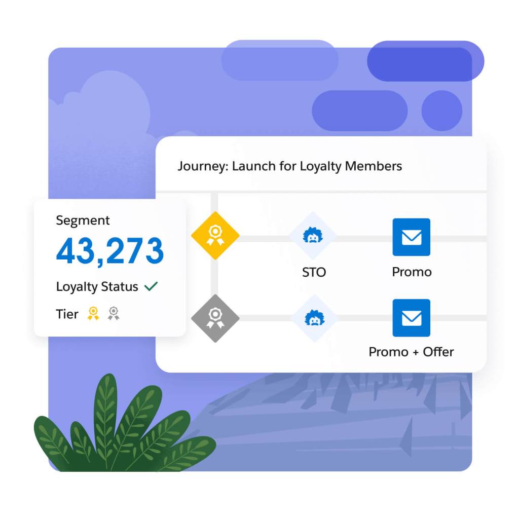 Customer journey flow: launch for loyalty members with loyalty status and tier