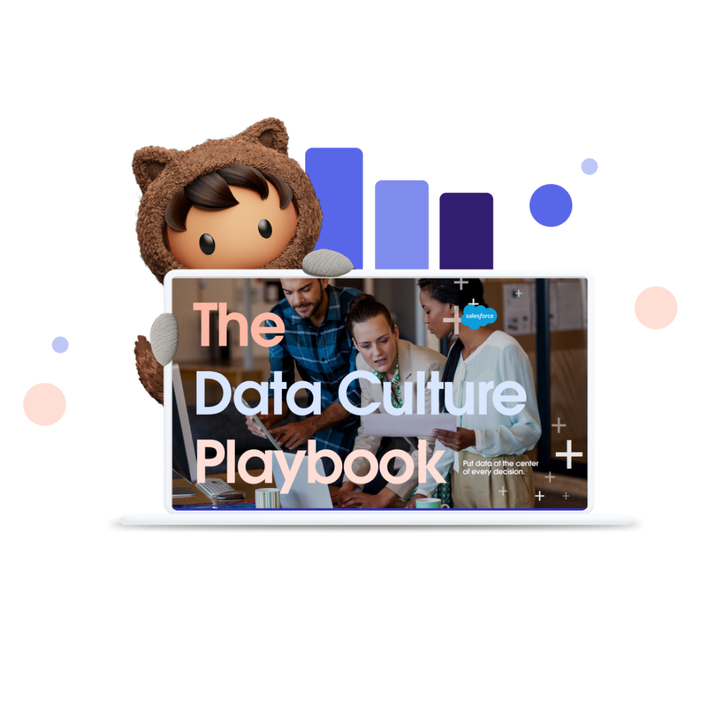 The Data Culture Playbook on a laptop screen with Einstein character