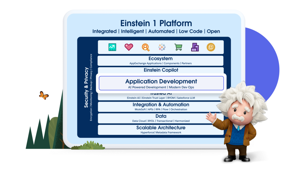Einstein character stands in front of a screen showing the Security and Privacy options with Application Development pulled out and highlighted.