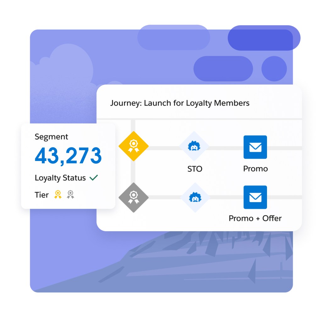 Customer journey flow: launch for loyalty members with loyalty status and tier