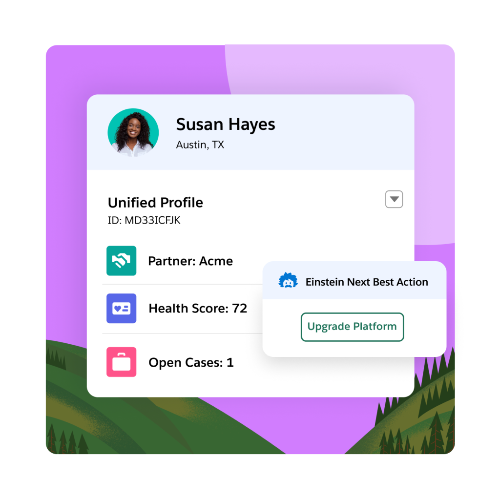 A customer profile that includes Partner, Health Score, and Open Cases