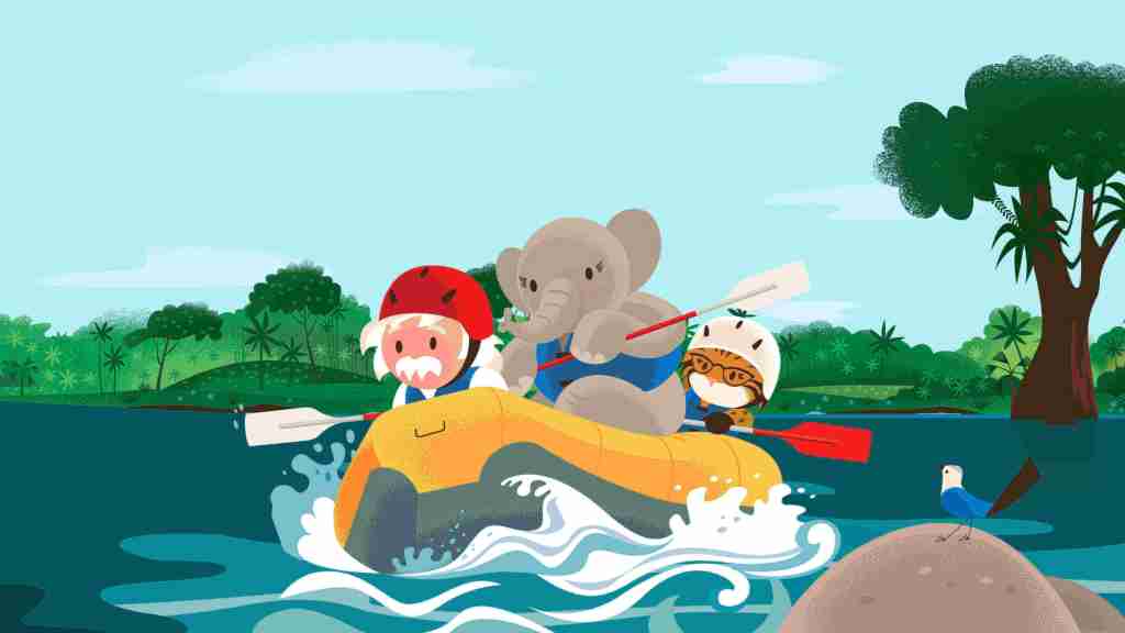 Salesforce mascots Einstein, Ruth, and Appy on a raft.