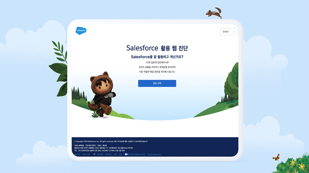 how to use salesforce well